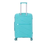 Custom chevron hardside spinner suitcase BJ-803 back view